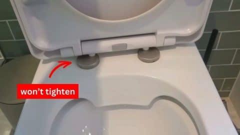 How to Fix a Loose Toilet Seat | DIY Joy Projects and Crafts Ideas