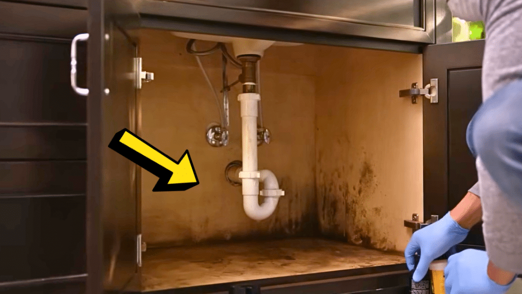 How to Get Rid of Mold