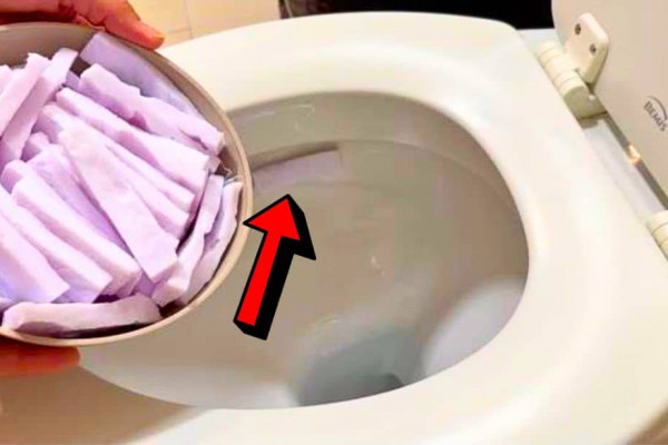 How to Make 2-Ingredient Toilet Sanitizer & Freshener