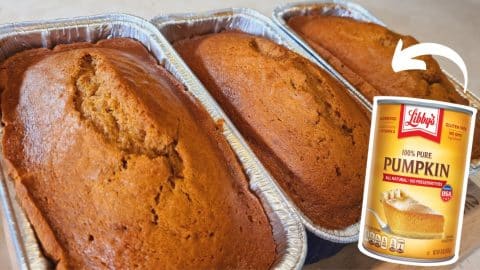 How to Make the Best Pumpkin Bread | DIY Joy Projects and Crafts Ideas