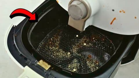 The Best Way to Clean Your Air Fryer | DIY Joy Projects and Crafts Ideas