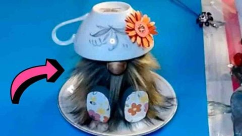 DIY Teacup Gnome Tutorial | DIY Joy Projects and Crafts Ideas
