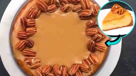 Easy Pumpkin Pecan Cheesecake Recipe | DIY Joy Projects and Crafts Ideas