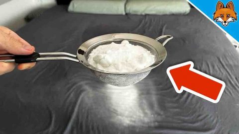 How to Clean Mattress Using Baking Soda | DIY Joy Projects and Crafts Ideas