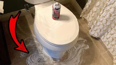 How to Clean Your Toilet with Shaving Cream | DIY Joy Projects and Crafts Ideas