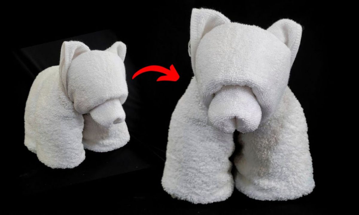 Bear Towels