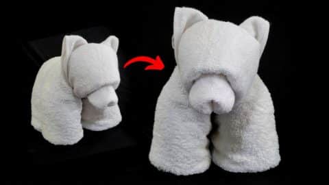 How to Make a DIY Towel Bear | DIY Joy Projects and Crafts Ideas