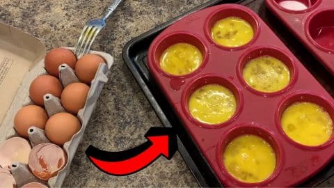 How to Preserve Eggs & How to Use Them | DIY Joy Projects and Crafts Ideas