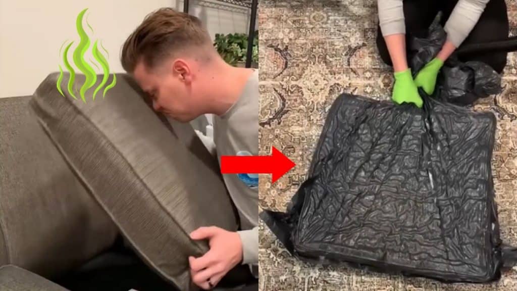 How to Remove Stinky Odor From Cushions