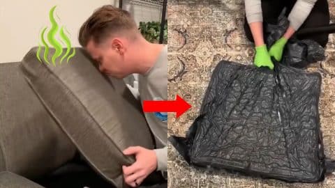 How to Remove Stinky Odor From Cushions | DIY Joy Projects and Crafts Ideas