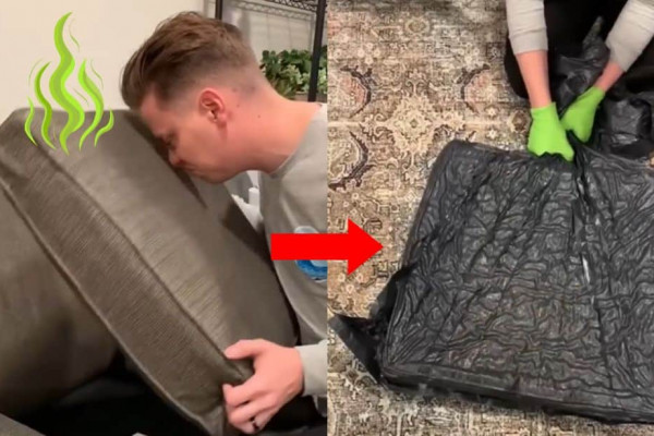 How to Remove Stinky Odor From Cushions