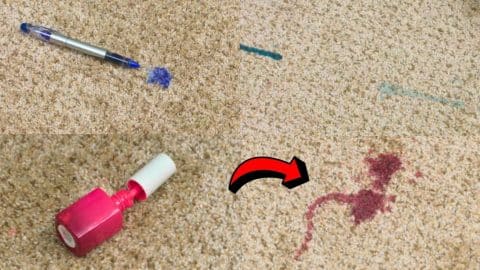 How to Remove Tough Carpet Stains | DIY Joy Projects and Crafts Ideas