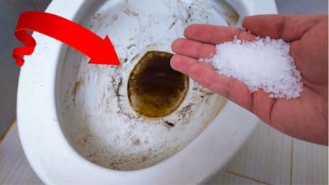 Learn The Secret Hack To A Spotless Toilet | DIY Joy Projects and Crafts Ideas