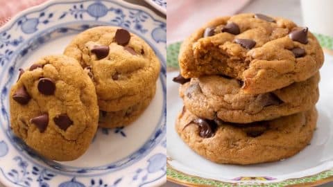 Pumpkin Chocolate Chip Cookies | DIY Joy Projects and Crafts Ideas