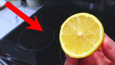 Rub a Lemon on Your Glass Stove Top | DIY Joy Projects and Crafts Ideas