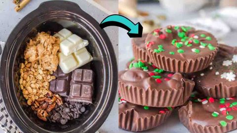 Slow Cooker Christmas Cookies Recipe | DIY Joy Projects and Crafts Ideas