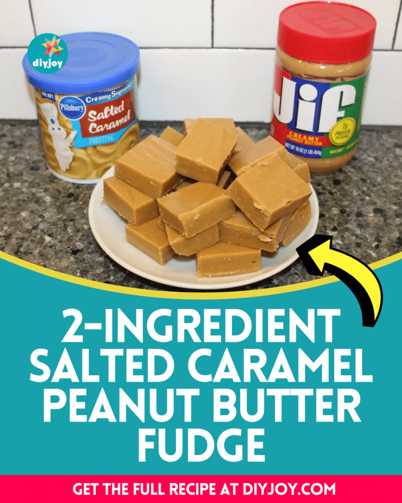 2Ingredient Salted Caramel Peanut Butter Fudge Recipe