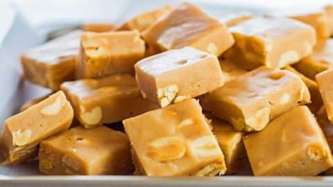 5-Ingredient Crockpot Peanut Butter Fudge Recipe | DIY Joy Projects and Crafts Ideas