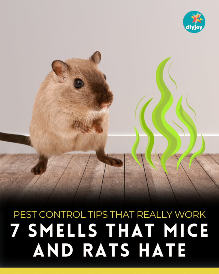 7 Smells That Mice and Rats Hate
