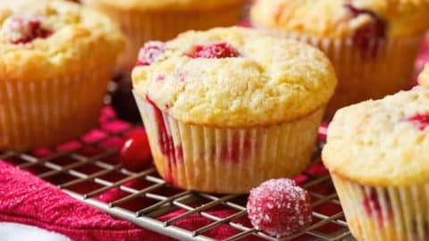 Cranberry Orange Muffins | DIY Joy Projects and Crafts Ideas