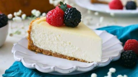 Creamiest Cheesecake Recipe | DIY Joy Projects and Crafts Ideas