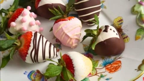 Easy Chocolate Covered Strawberries | DIY Joy Projects and Crafts Ideas