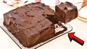 Easy Chocolate Mocha Chiffon Cake Recipe