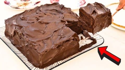 Easy Chocolate Mocha Chiffon Cake Recipe | DIY Joy Projects and Crafts Ideas