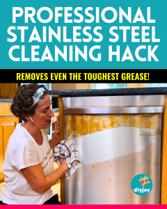 Professional Stainless Steel Cleaning Hack - DIY Joy