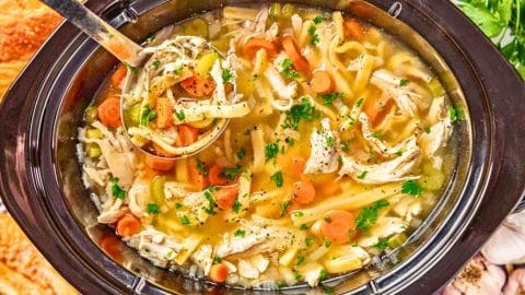 Fan-Favorite Crockpot Chicken Noodle Soup Recipe | DIY Joy Projects and Crafts Ideas