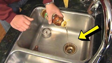 How To Get Rid of Sink Drain Odor in 15 Minutes! | DIY Joy Projects and Crafts Ideas