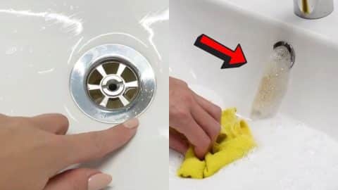 How to Clean Your Drain in 5 Seconds | DIY Joy Projects and Crafts Ideas