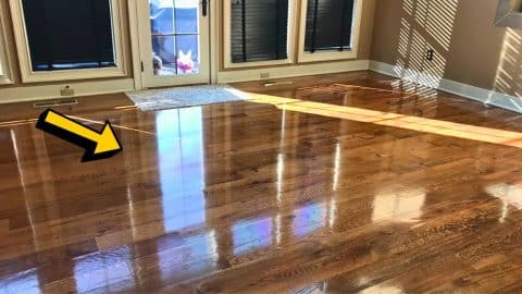 How to Shine Hardwood Floors | DIY Joy Projects and Crafts Ideas