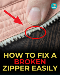 How to Fix a Broken Zipper Easily