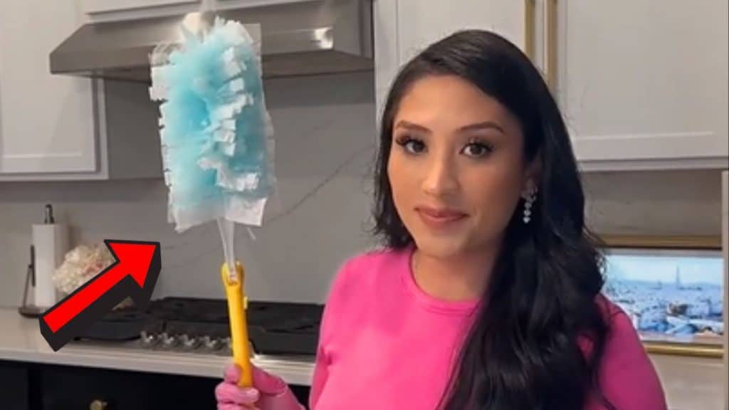 Swiffer Duster Tip You Probably Don't Know (1)