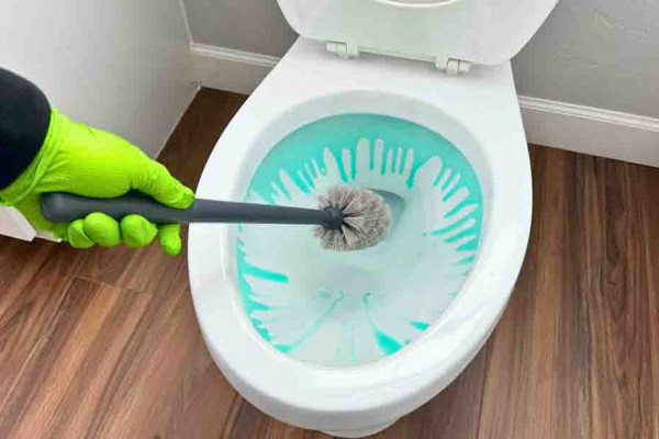 10 Things You Need To Know About Cleaning Your Toilet