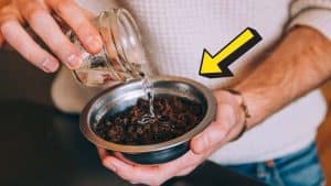 5 Ways to Reuse Coffee Grounds