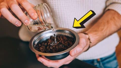 5 Ways to Reuse Coffee Grounds | DIY Joy Projects and Crafts Ideas