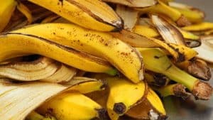 6 Things You Can Do With Banana Peels