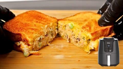 Best Air Fryer Tuna Melt Sandwich | DIY Joy Projects and Crafts Ideas