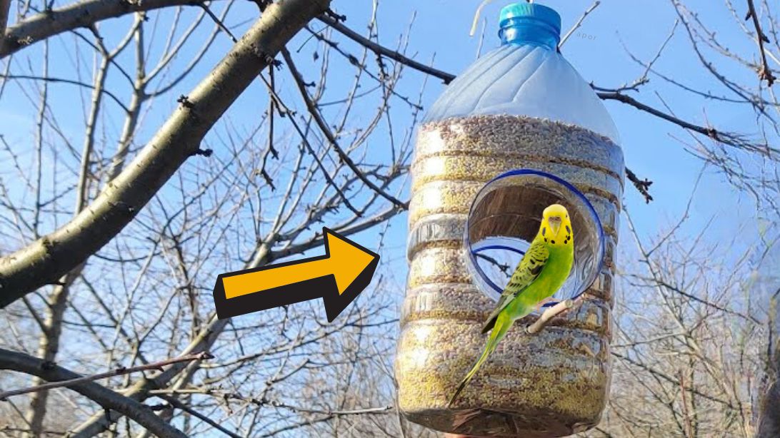 DIY Plastic Bottle Bird Feeder | DIY Joy Projects and Crafts Ideas