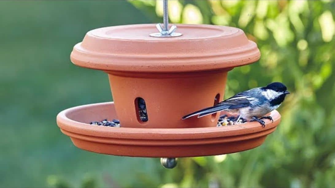 DIY Terra-Cotta Bird Feeder | DIY Joy Projects and Crafts Ideas