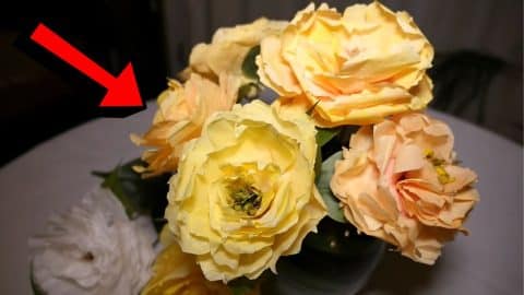 Easy DIY Coffee Filter Peony Flowers Tutorial | DIY Joy Projects and Crafts Ideas