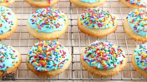 Easy Gluten-Free Sugar Cookies Recipe | DIY Joy Projects and Crafts Ideas