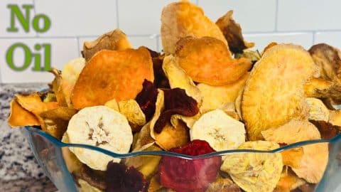 Easy Homemade Healthy Veggie Chips | DIY Joy Projects and Crafts Ideas