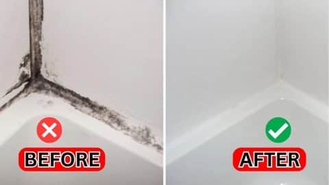Easy Moldy Caulk Cleaning Hack | DIY Joy Projects and Crafts Ideas