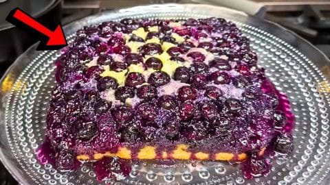 Easy No-Fail Blueberry Cake Recipe | DIY Joy Projects and Crafts Ideas