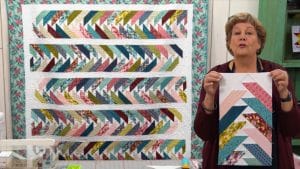 Geese in Motion Quilt With Jenny Doan