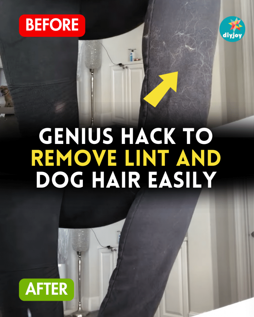 Genius Hack to Remove Lint and Dog Hair Easily