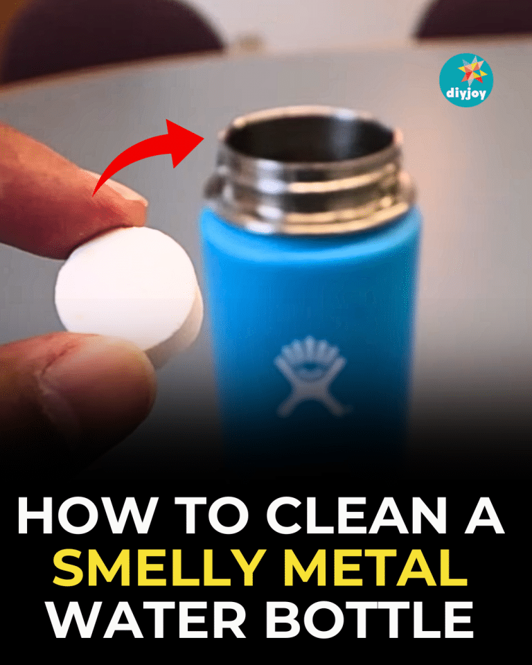 How to Clean a Smelly Metal Water Bottle
